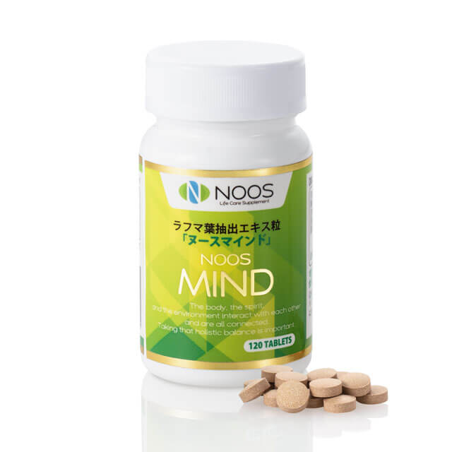 ヌースマインド