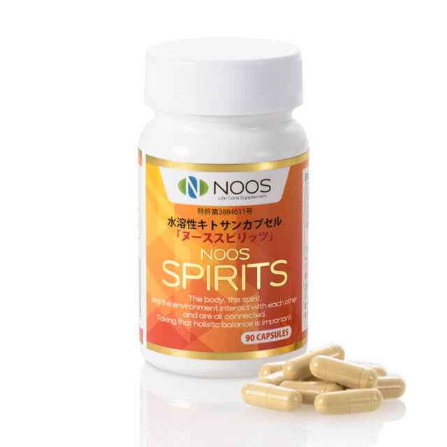 ヌーススピリッツ